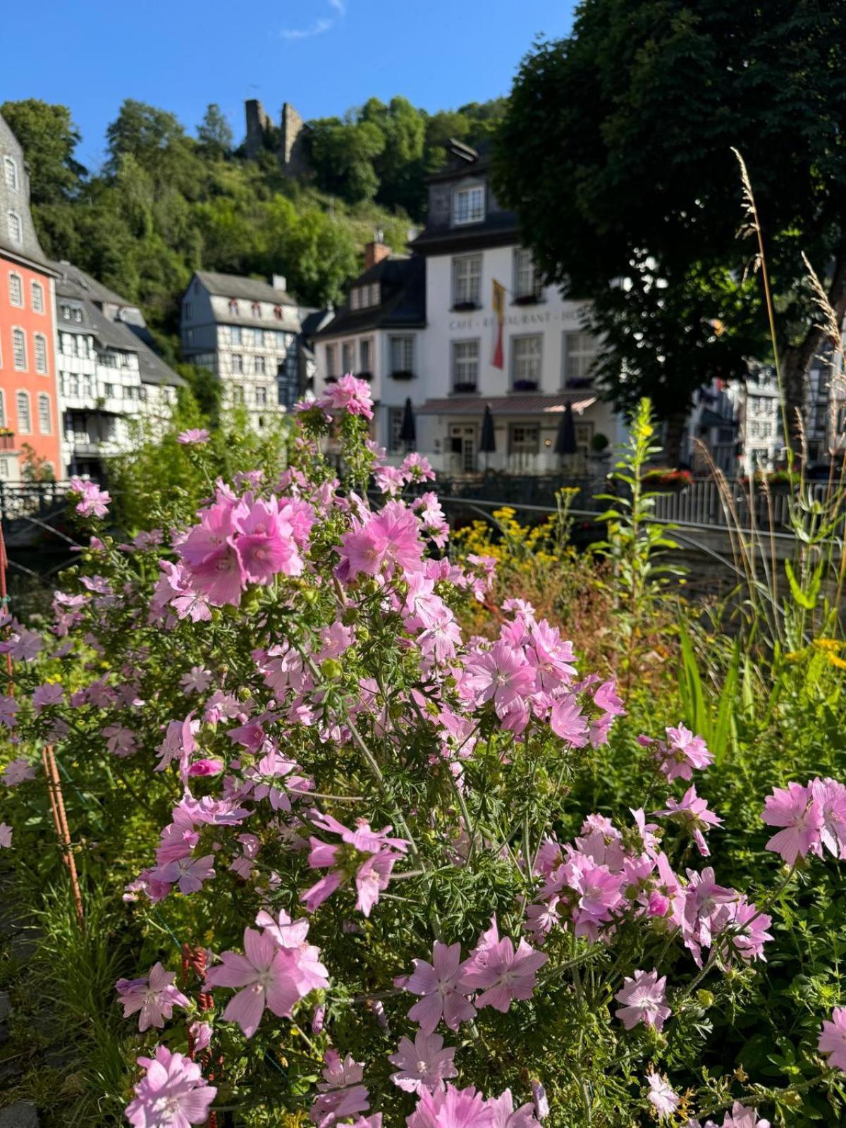 Fewo In Monschau Exteriör bild