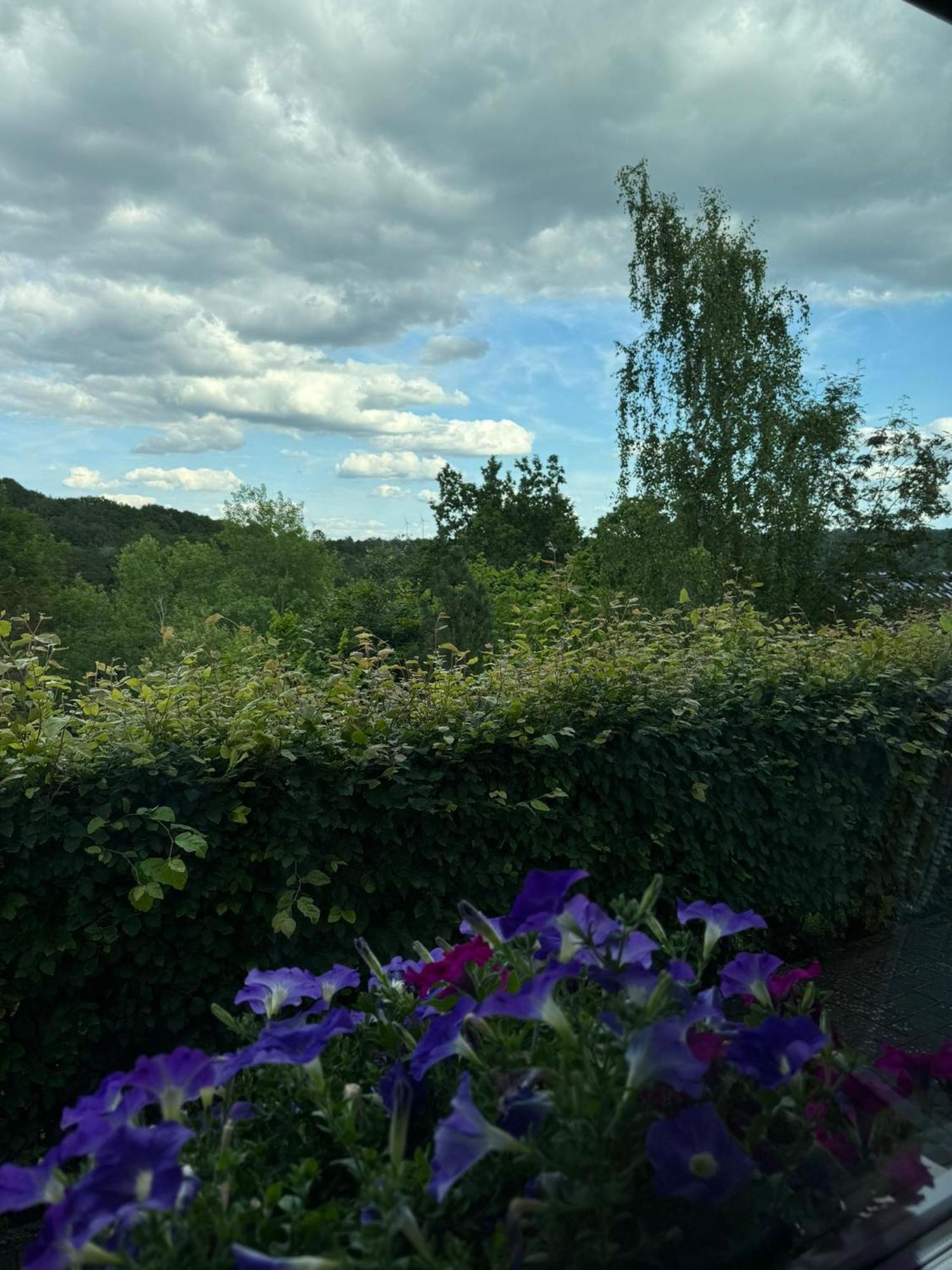 Fewo In Monschau Exteriör bild